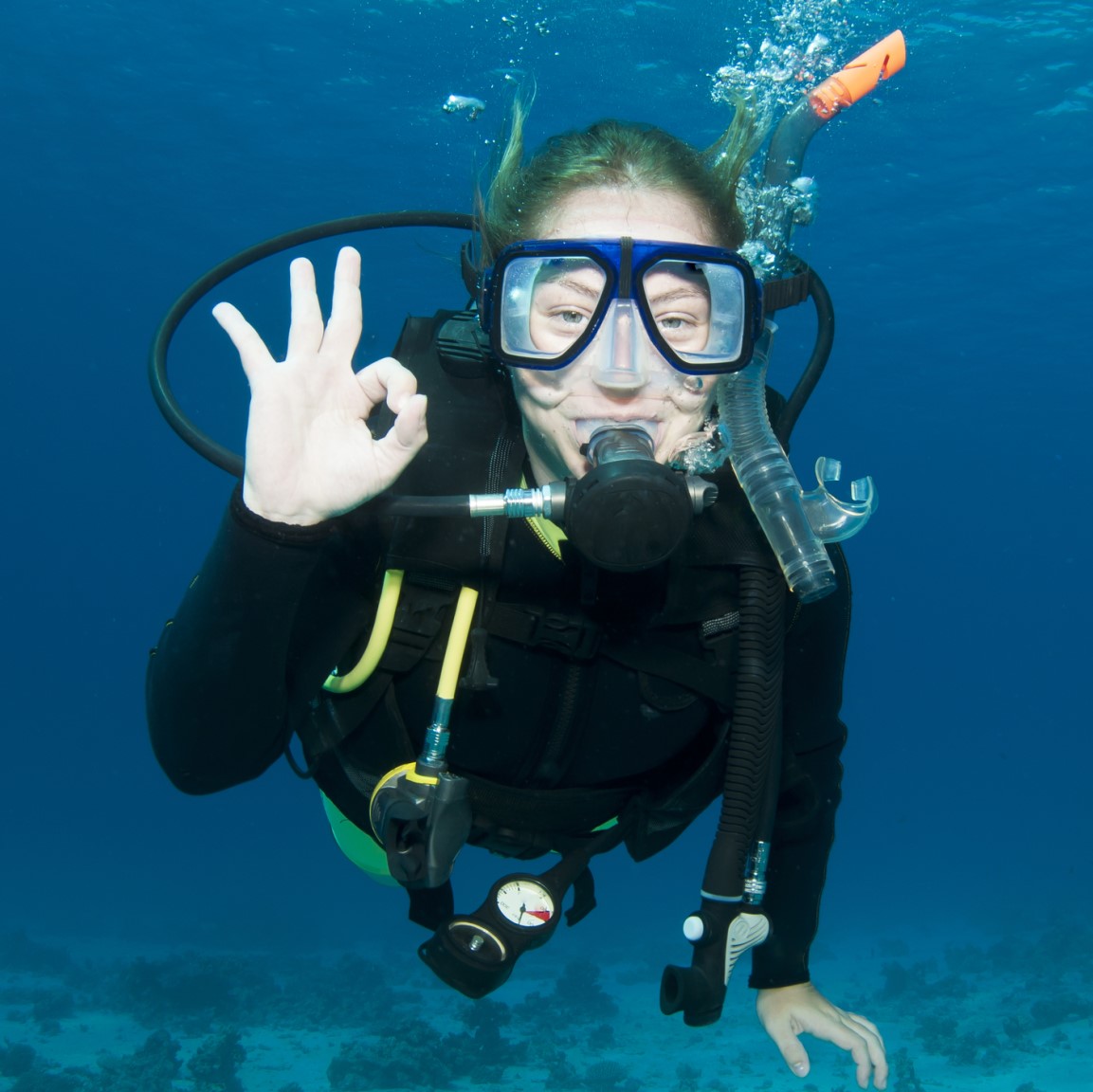 Dive Instructor using online booking system dashboard to manage appointments